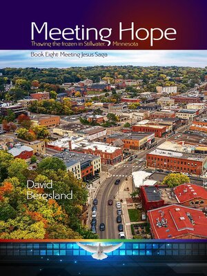 cover image of Meeting Hope